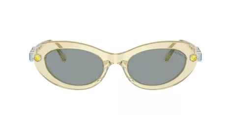 Swarovski SK 6042 1080/1