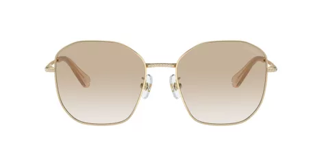 Swarovski SK 7012D 401311