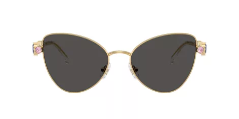 Swarovski SK 7034 404M87