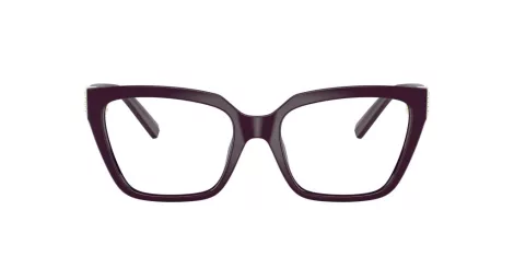 Tiffany TF 2257BU 8427