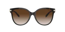 Tiffany TF 4193B 81343B