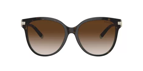 Tiffany TF 4193B 81343B