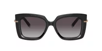 Tiffany TF 4199 80013C