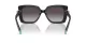 Tiffany TF 4199 80013C