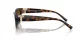 Tiffany TF 4225U 8015T5