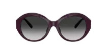 Tiffany TF 4227BU 84273C