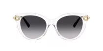 Tiffany TF 4232 80473C