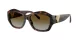 Tiffany TF 4233U 8015T5