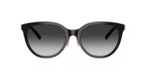 Tiffany TF 4243D 80013C