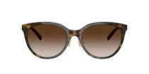 Tiffany TF 4243D 81343B