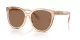 Tory Burch TY 7213D 195473