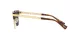 Versace VE 4447 108/87