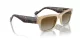 Vogue VO 5530S W900T5