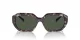 Vogue VO 5554S 31499A
