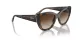 Vogue VO 5567S 238613