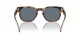 Vogue VO 5571S 28194Y