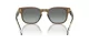 Vogue VO 5571S 314411