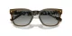 Vogue VO 5571S 314411