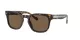 Vogue VO 5571S W65673